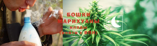 крисы Магадан