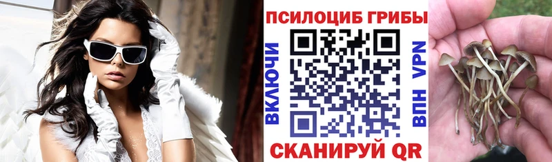 как найти закладки  Алатырь  сайты даркнета наркотические препараты  Псилоцибиновые грибы ЛСД 